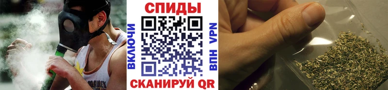 Купить  Полярный  Бутират BDO 