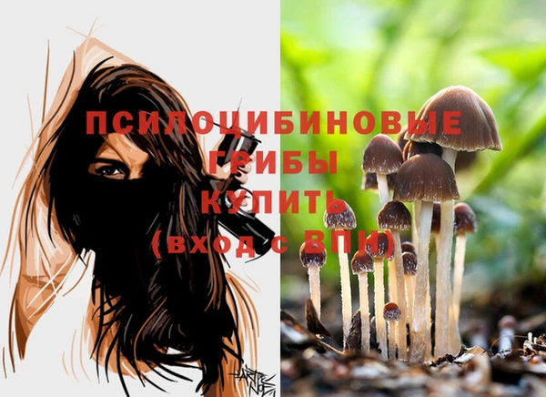 марки nbome Краснослободск